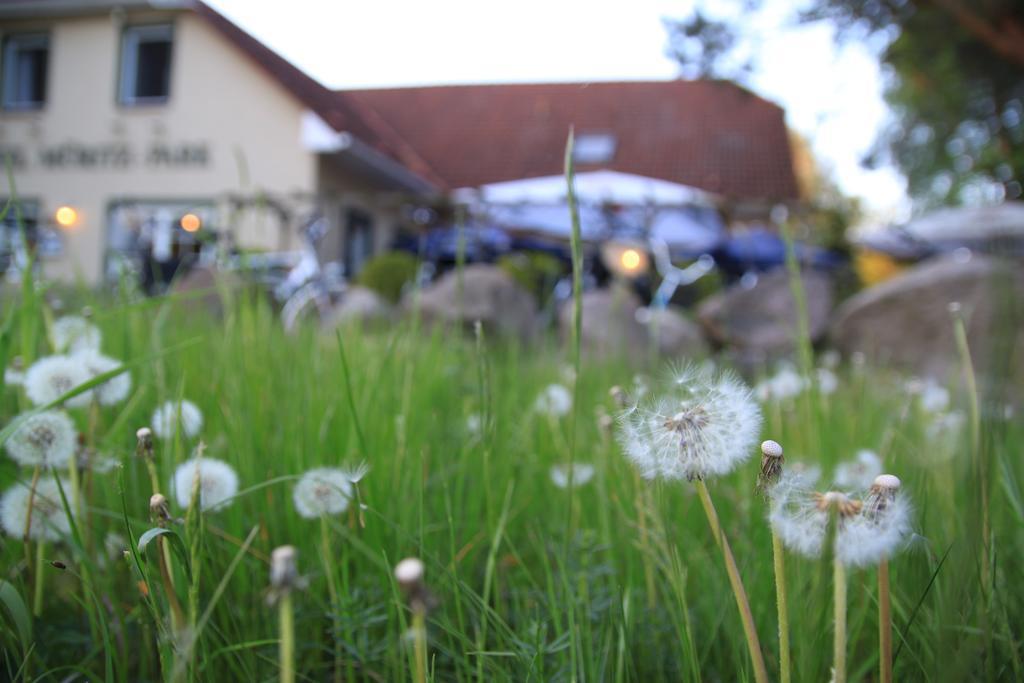 Hotel Mueritz-Park Boek Extérieur photo